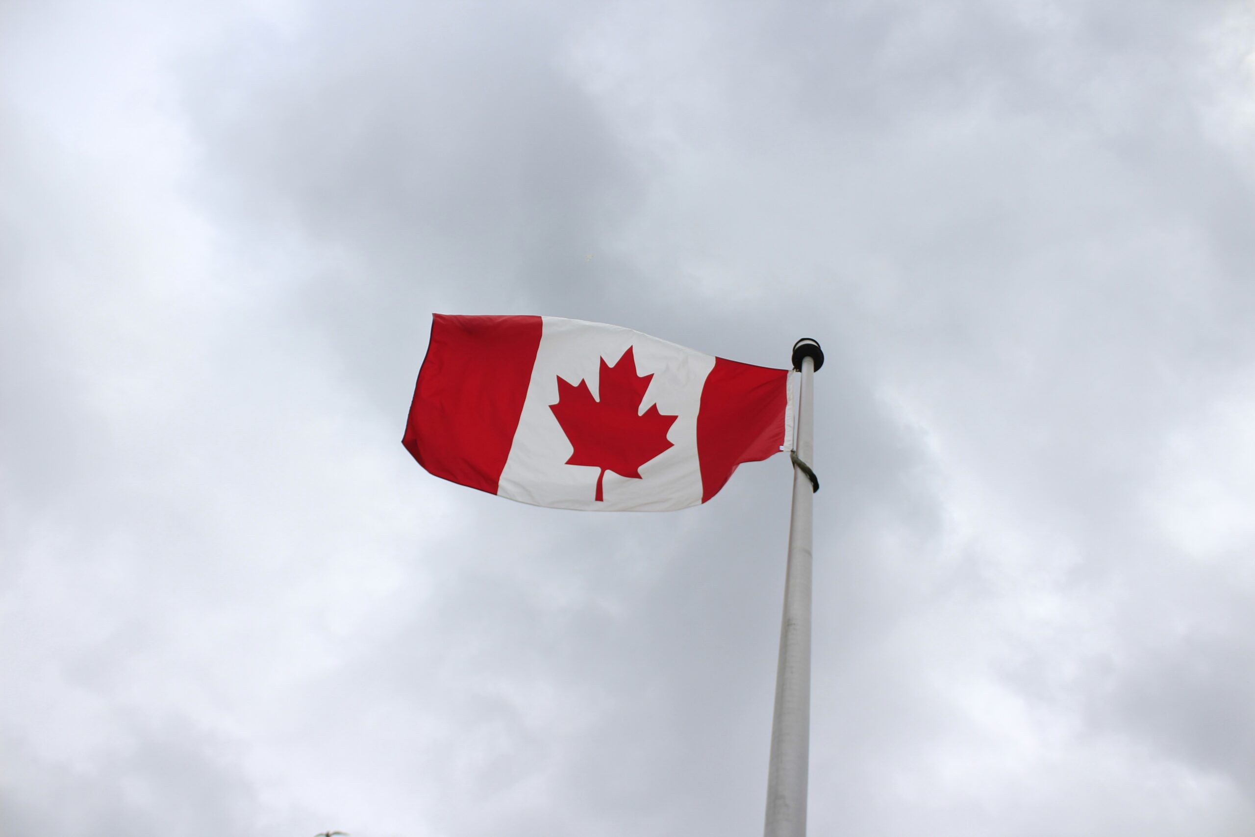 Immigration legal consultation Woodbine Legal Services